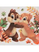 Bébi rövid ujjú kombidressz Vp Chip and Dale nyers 68