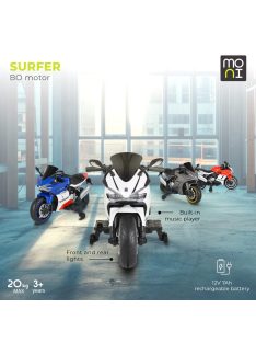 BO Surfer elektromos motor, 20kg-ig, 2 motoros SZÜRKE