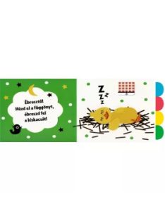 Húzd ki és nézd meg! - Kiskacsa táncol